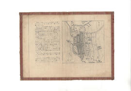 [大島元町復興に対する提案]